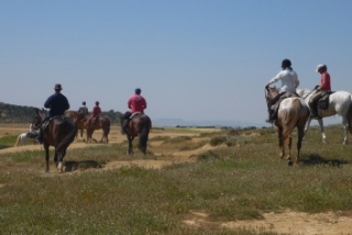 Cheval en pays basque francais et espagnol